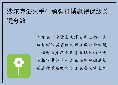沙尔克浴火重生顽强拼搏赢得保级关键分数