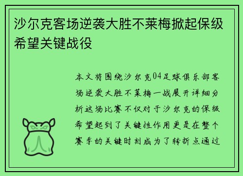 沙尔克客场逆袭大胜不莱梅掀起保级希望关键战役