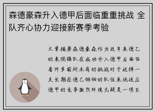 森德豪森升入德甲后面临重重挑战 全队齐心协力迎接新赛季考验
