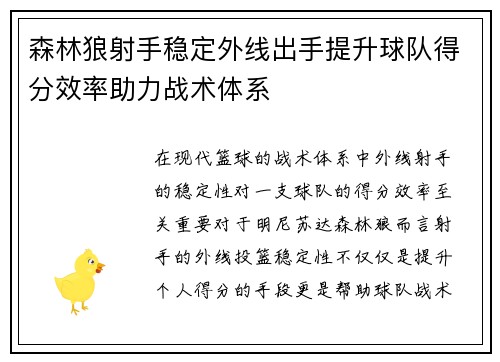 森林狼射手稳定外线出手提升球队得分效率助力战术体系